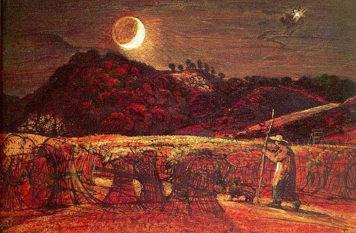 a cornfield by moonlight with the evening star